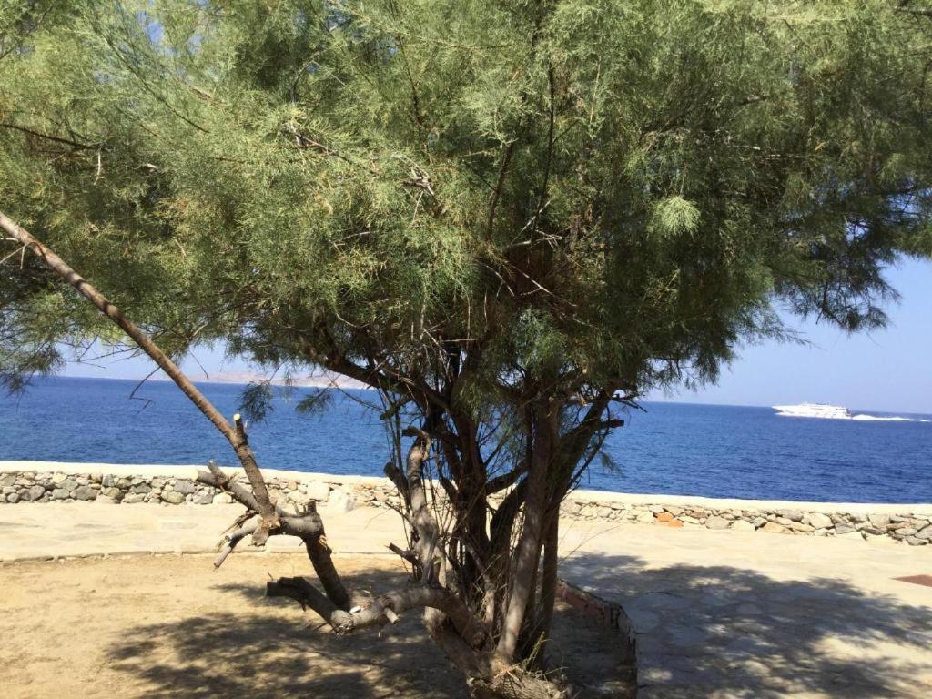Poseidon Secret Blue Pools Otel Ornos  Dış mekan fotoğraf